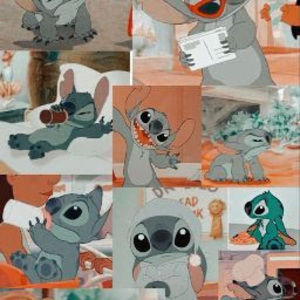 Meet your Posher, Susana